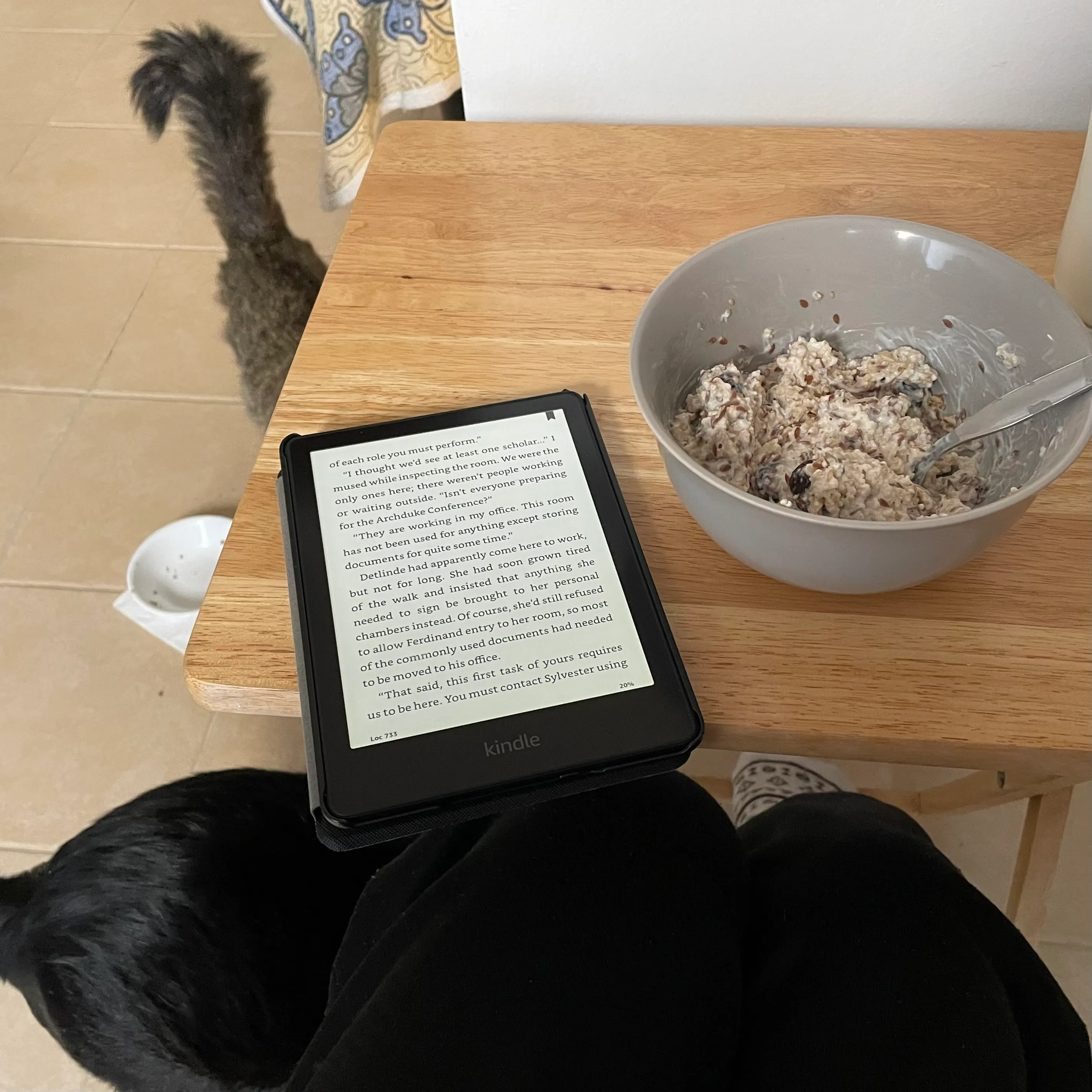 Breakfast kindle Ragnar and Tohru.